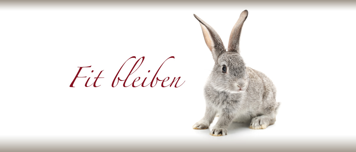 Fit bleiben